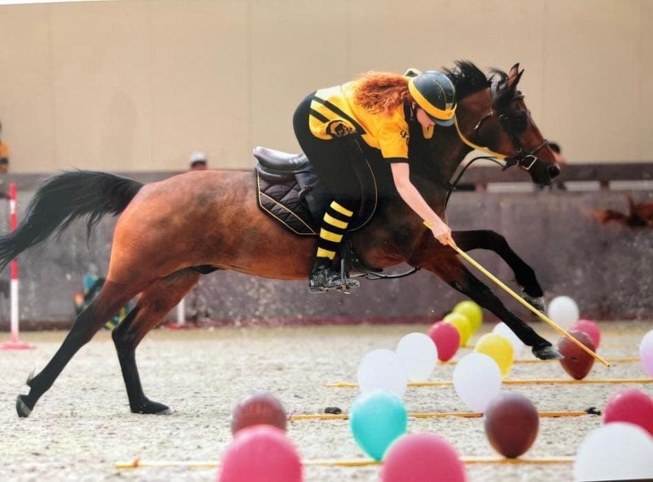 Compétition équestre — Championnats de France