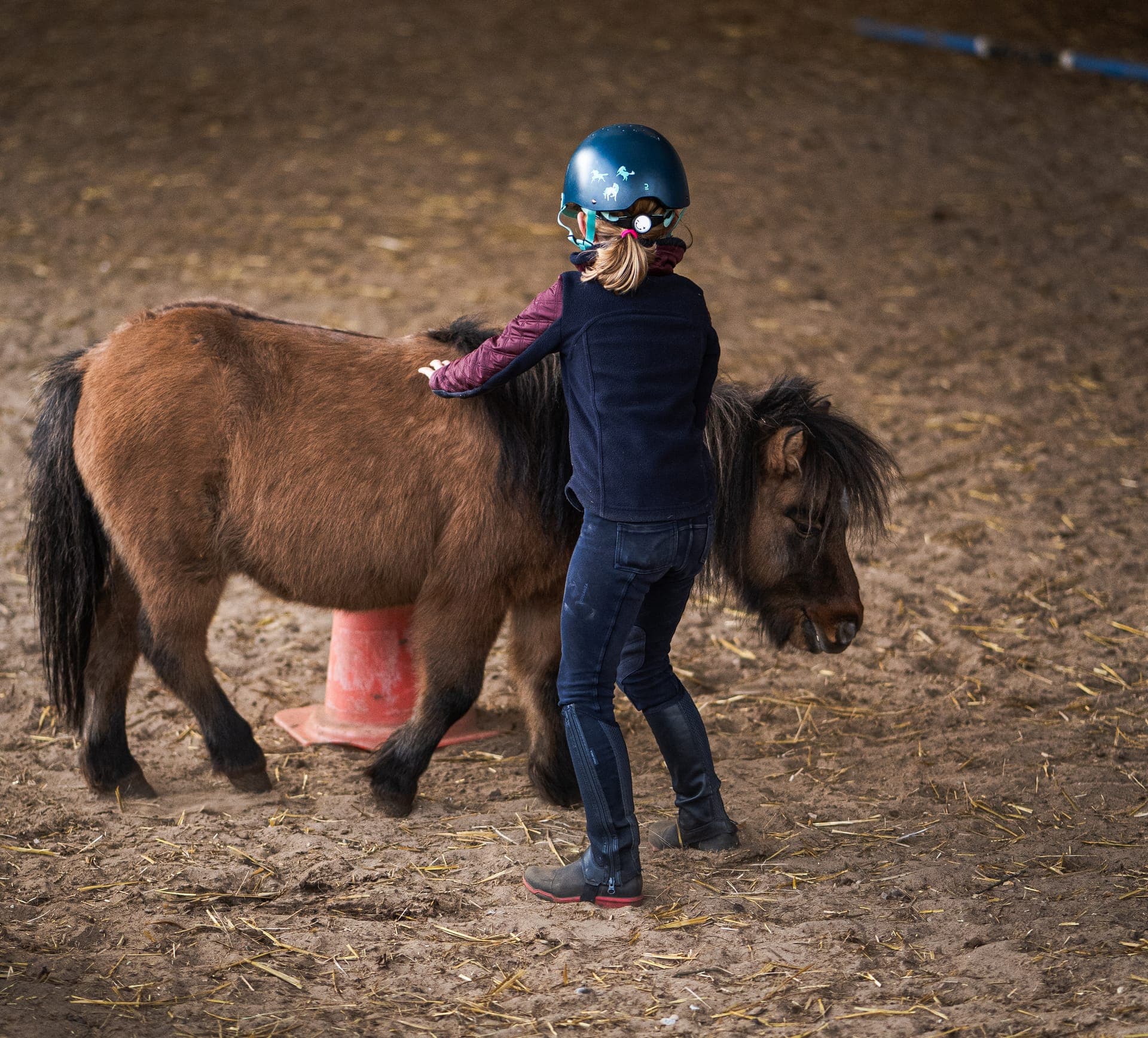 Cours d'équitation en groupe